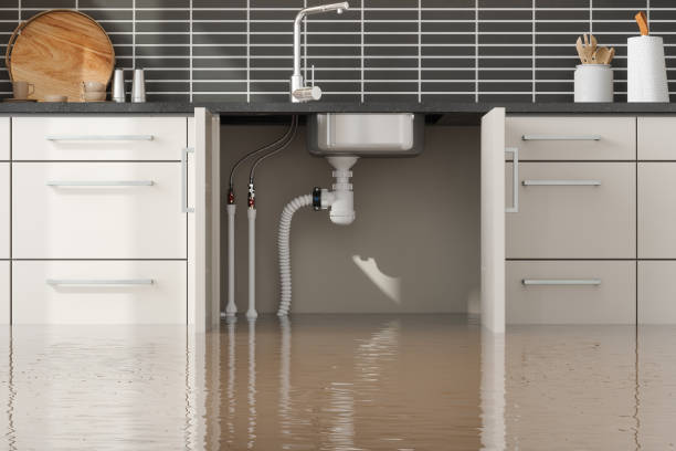 Trusted Water Damage Restoration in Shady Side, MD | Fast, Reliable, and Ready to Assist You